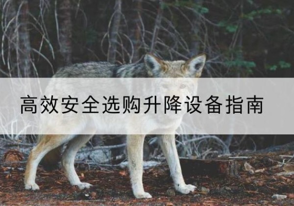 塔什库尔干升降货梯厂家推荐-*安全选购升降设备指南