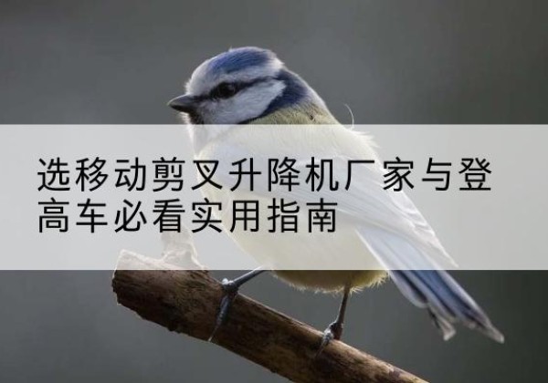 塔什库尔干电动升降机厂家-选移动剪叉升降机厂家与登高车必看实用指南