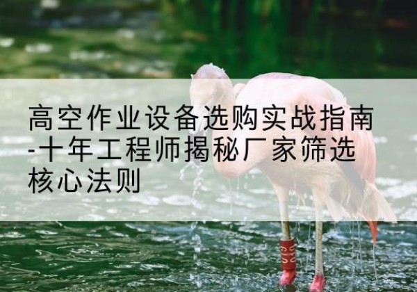 塔什库尔干剪叉式升降机厂家-高空作业设备选购实战指南-十年工程师揭秘厂家筛选核心法则